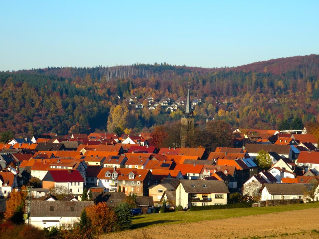 Natururlaub Frankenau Exterior foto